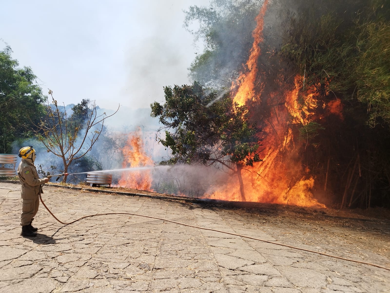 Incêndio em vegetação deixa casa e estabelecimento comercial em chamas