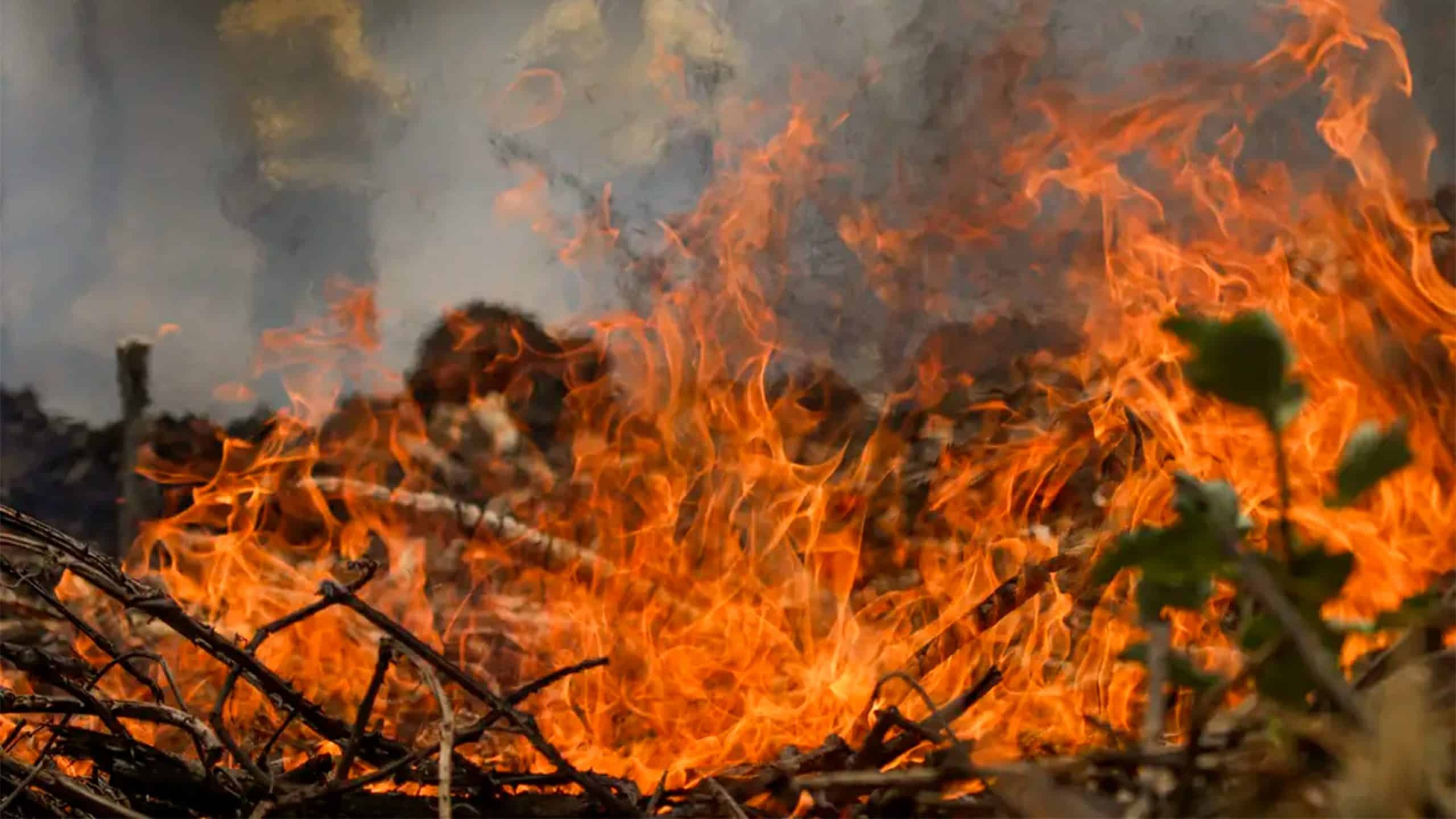 Brasil registra no ano de 2024 maior número de focos de incêndio desde 2010.