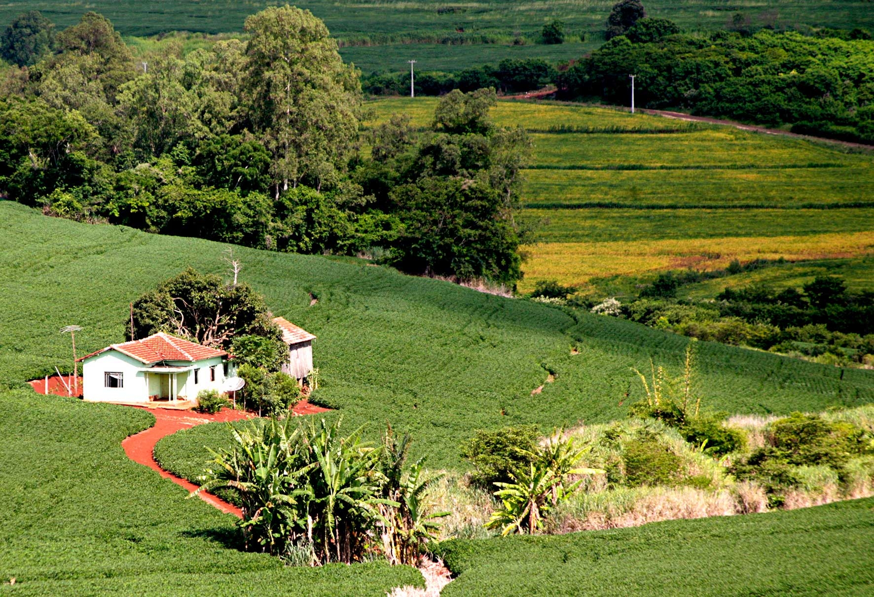 Prazo para cadastramento ambiental rural poderá  ser prorrogado