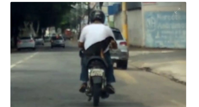 Motociclista é flagrado ao carregar cachorro em garupa e furar sinal vermelho