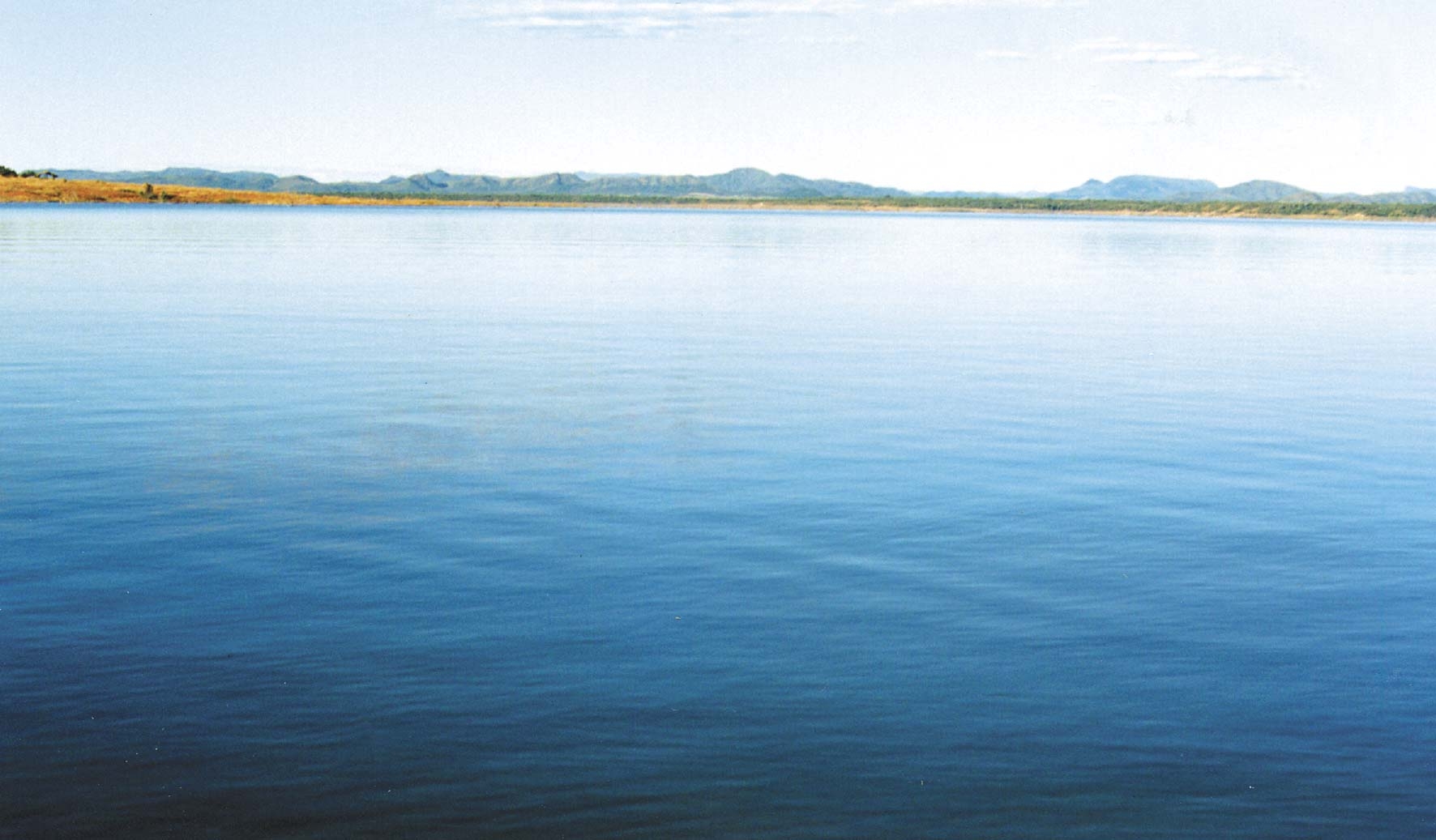 De acordo com laudo, morte de 19 tonelada de peixes no Lago Serra da Mesa não foi por doença