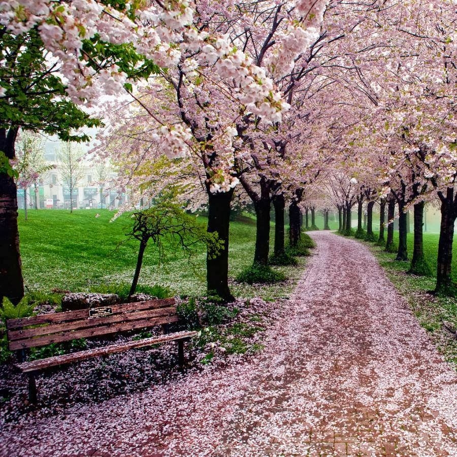 Sobre o caminho do amor!