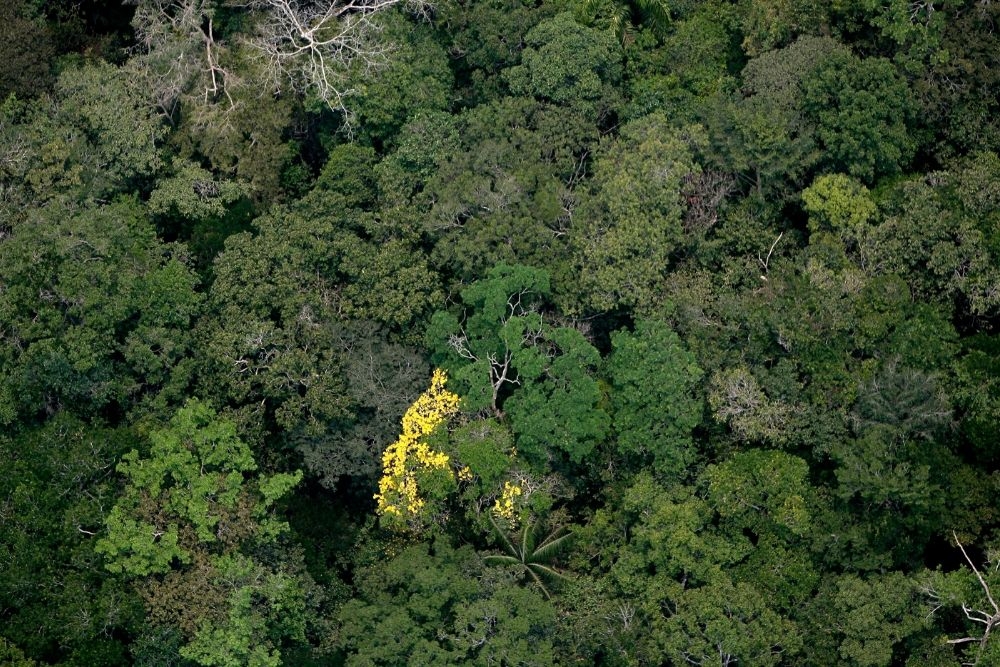 Inpe cria plataforma gratuita de dados do solo brasileiro