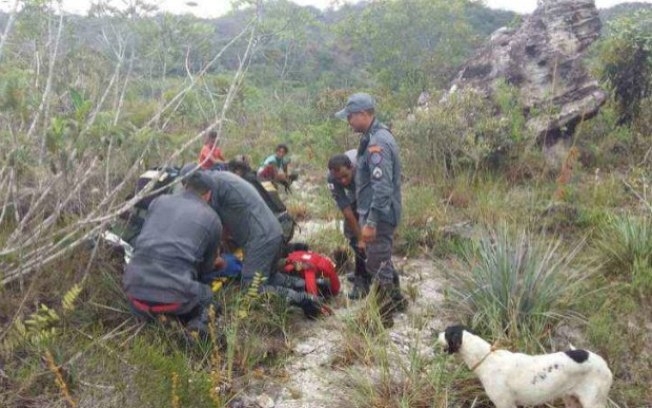 Homem morre após ataque de tamanduá