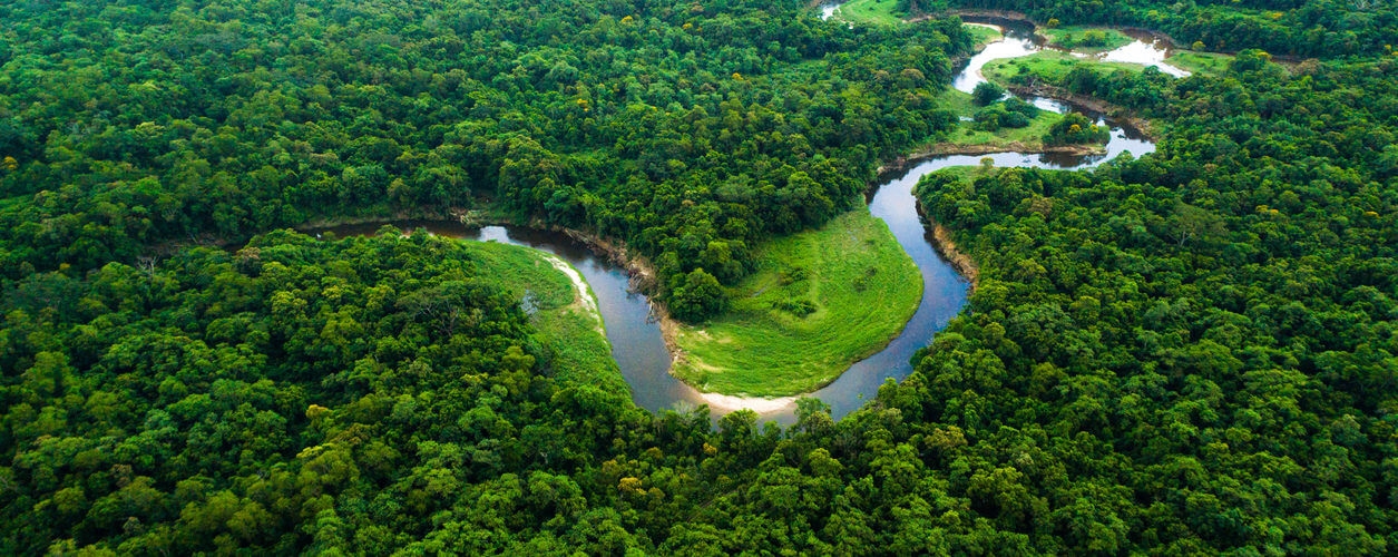 Amazônia perdeu 44,5 milhões de hectares convertidos para a agropecuária