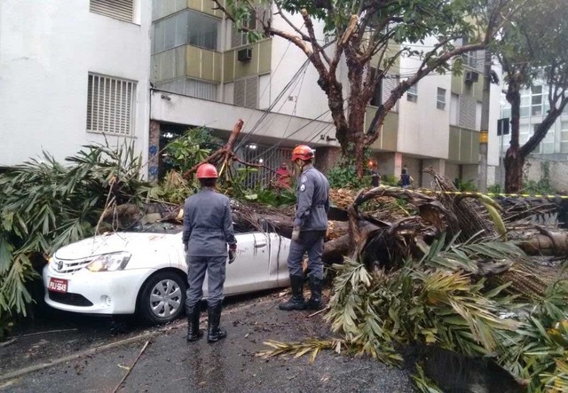 Durante temporal, árvores caem em táxi e mata motorista