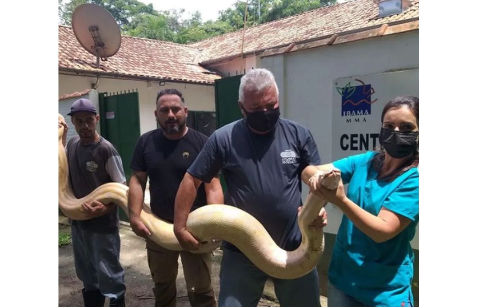 Criança de 4 anos morre após ataque de cachorro da família