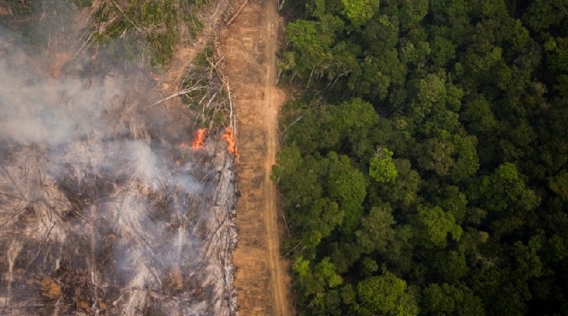 Desmatamento na Amazônia aumenta 15% nos últimos 12 meses, diz Imazon