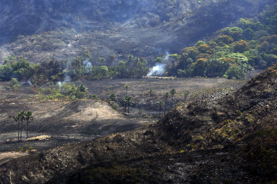 Brasil atinge meta de redução de emissões de carbono na área florestal