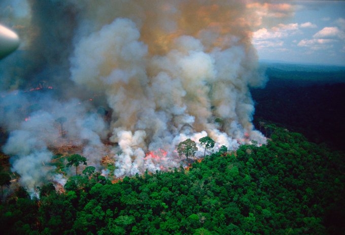 França convoca países do G7 para tratar da destruição da Amazônia sob Governo Bolsonaro