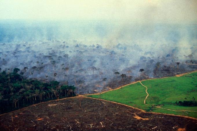 Bolsonaro acusa ONGs por estarem por trás das queimadas na Amazônia