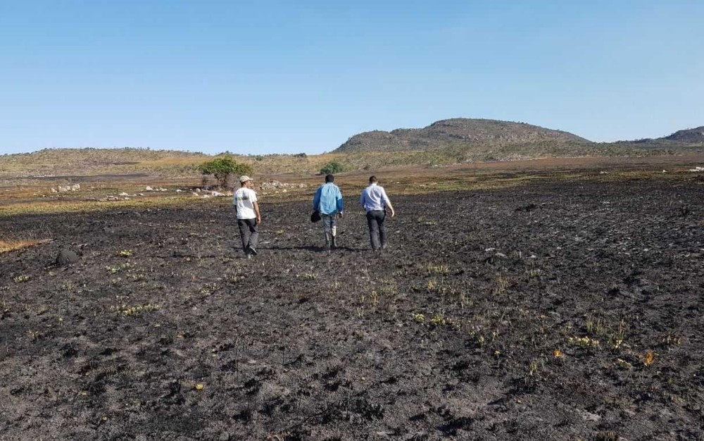 Incêndio no Parque da Chapada dos Veadeiros começa a ser investigado