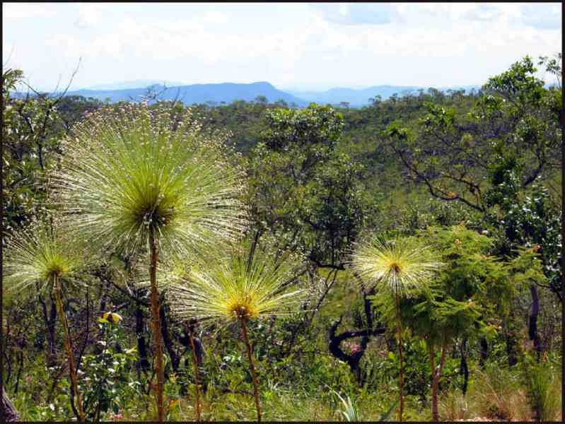 I Seminário Regional Diálogos para a Sustentabilidade ocorre em Alto Paraíso de Goiás