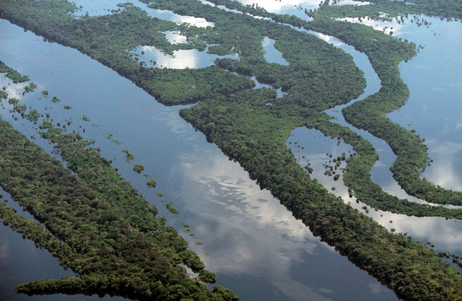 O Brasil concentra em torno de 12% da água doce do mundo disponível em rios e abriga o maior rio em volume do planeta, o Amazonas.