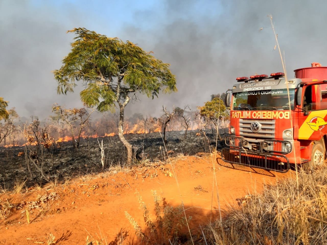 Incêndio de grandes proporções atinge o Parque Nacional das Emas