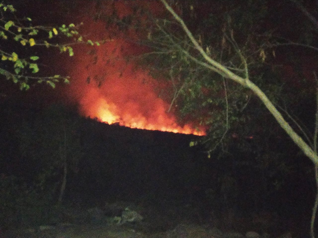 Bombeiros e voluntários combatem incêndio na Chapada dos Veadeiros, em Goiás