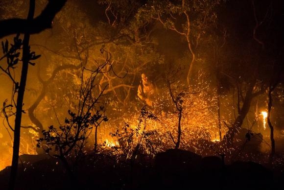 Incêndio já consumiu 15% da área do Parque Nacional da Chapada dos Veadeiros, diz ICMBio