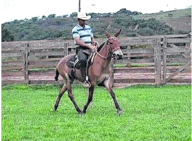 Como eram bons aqueles tempos que eram ruins pra gente!