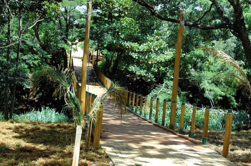 UFG mapeia parques e bosques de Goiânia