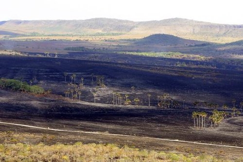 Parque Nacional da Chapada dos Veadeiros Será reaberto hoje