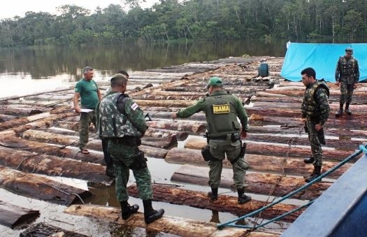 A importância da Instrução Normativa que regulamenta conversão multas ambientais