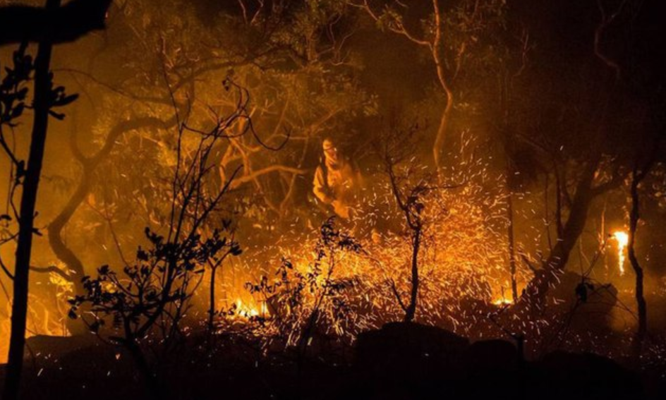 Relatório afirma que ‘Fundo Amazônia’ possuí bilhões e não foi recorrido em 2019