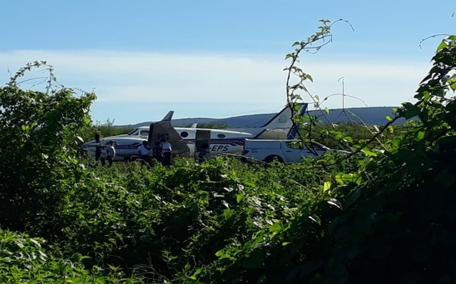 Avião que transportava vacinas da Covid-19 bate em jumento que estava na pista de aeródromo na Bahia