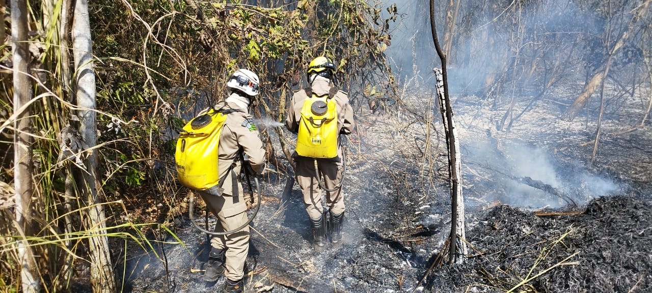 Bombeiros combatem incêndio em vegetação, em Goiânia